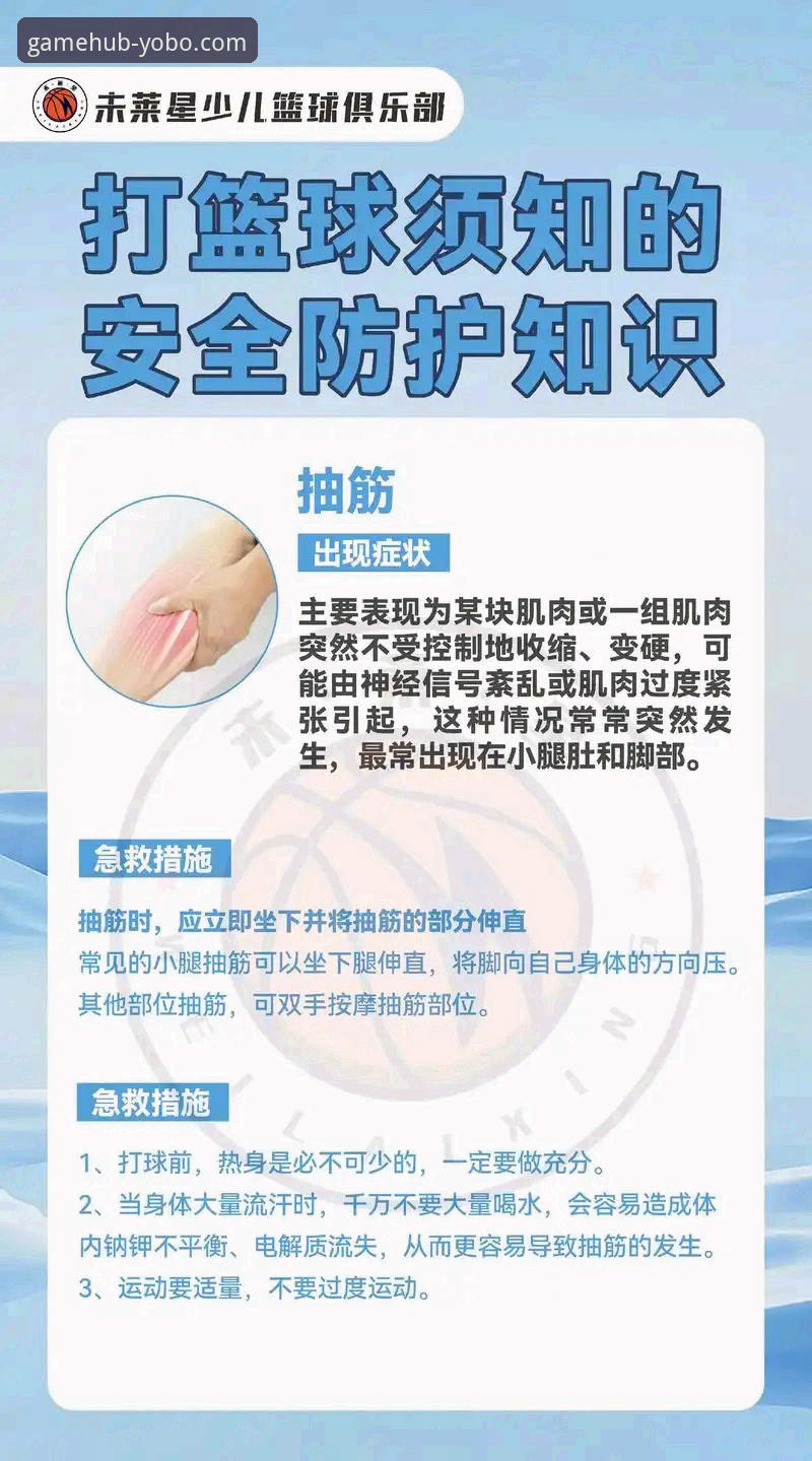 新手必看：yobo体育平台安全使用的实用指南与核心保障